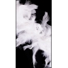 Chandelle Turkey Flat Boa White Approx. 40 Grams